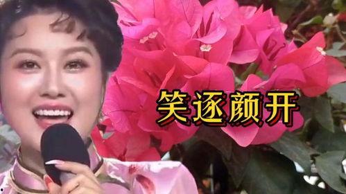 笑逐颜开搞笑,揭秘笑逐颜开的欢乐秘籍