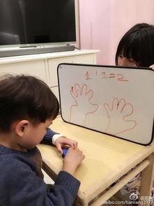 田欣辰个人资料,才华横溢的年轻艺术家，多才多艺的人生探索者