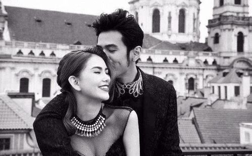 老夫老夫娱乐圈,揭秘娱乐圈中的不老传奇与青春风采